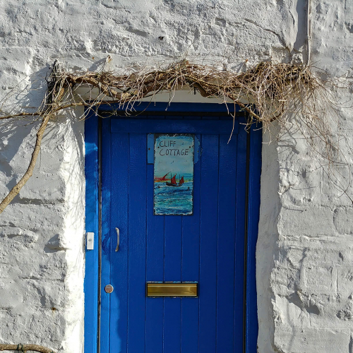 A blue front door with white walls and plants outside