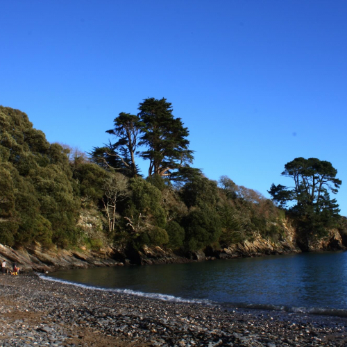 A beach near Falmouth with trees on the cliff and blue sky