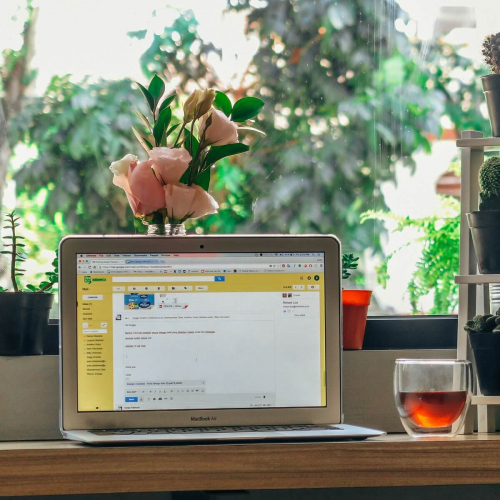 An open laptop on a table with a glass and plants posited behind