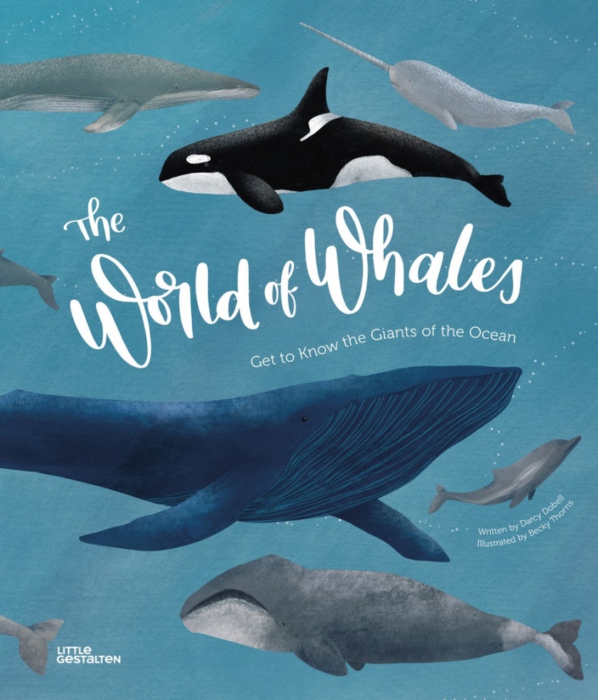 Illustrator Brings World of Whales to Life | Falmouth University