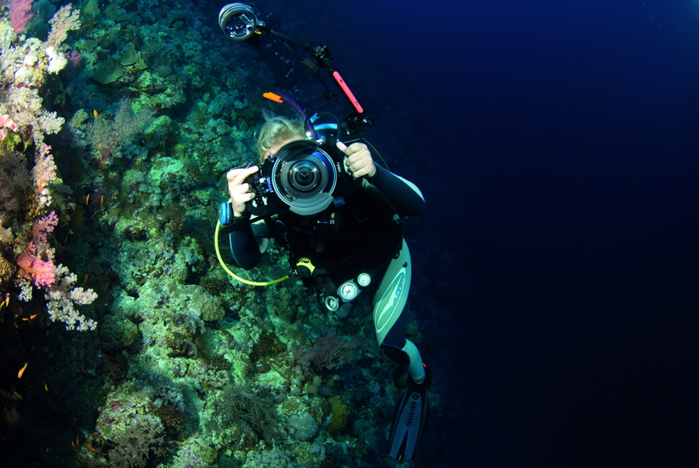 Marine & Natural History Photography BA(Hons) Falmouth University