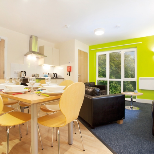 Accommodation interior, sofas, dining table and chairs, bright green wall.