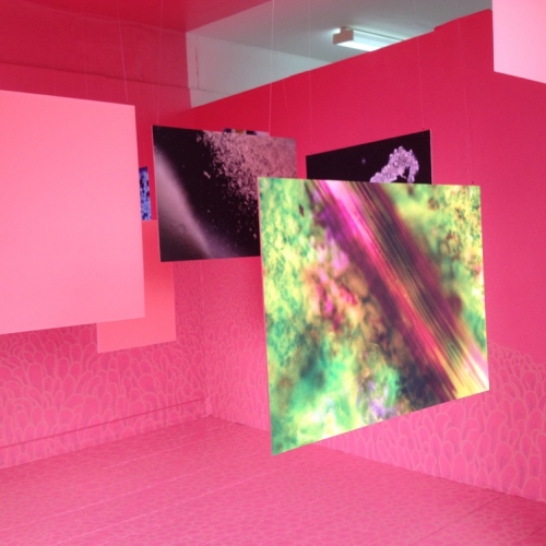 Pink room with suspended squares with abstract imagery.