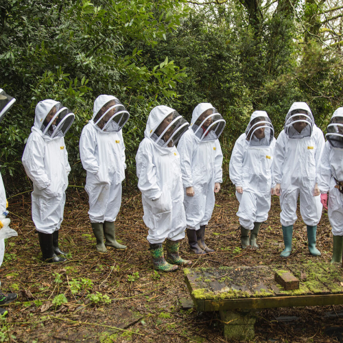 Group of students wearing bee keeping suits stood next to hive.