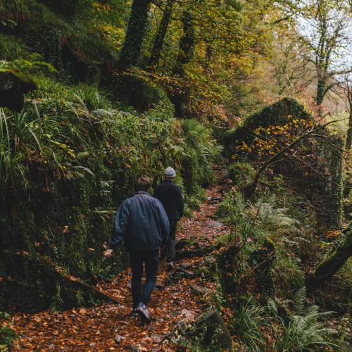 Two people walking in the woods at Autumn