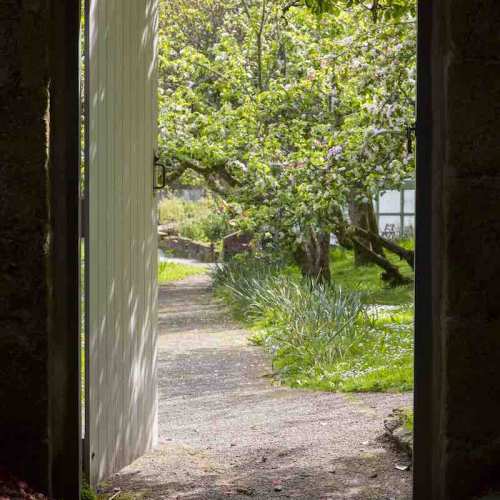 Open door to the Orchard at Penryn campus