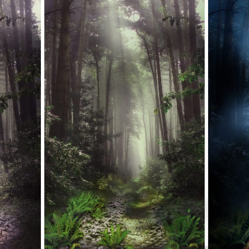 Tryptic of animated woodland scene shown in three different lights.