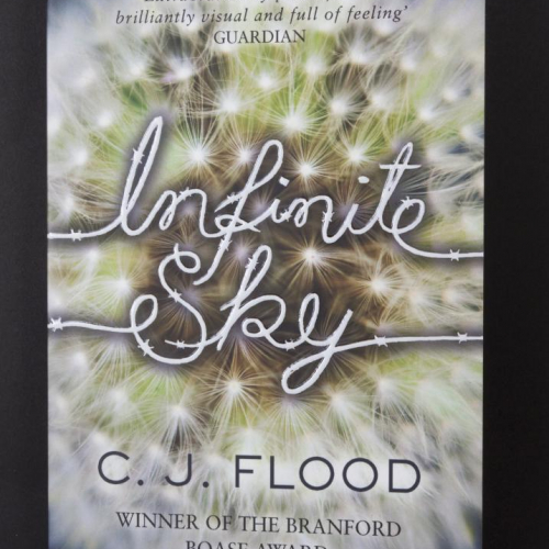Book cover of a close up dandelion clock and title, Infinite Sky.