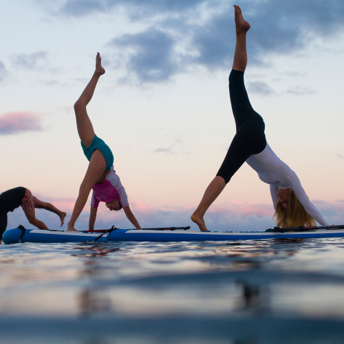 Group doing yoga poses on stand up paddle boards on the sea.